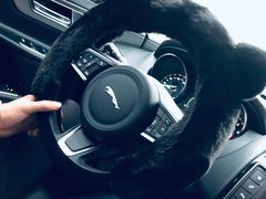 -上海伟杰·捷豹路虎4S店(闵行店)