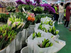 -王四营海鲜市场