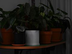 -LaFBagel手作烘焙工作室