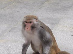 -黔灵山公园