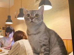 -隅cafe(傅厚岗店)