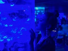 -南昌海洋公园