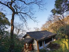 -中国茶叶博物馆(双峰馆区)