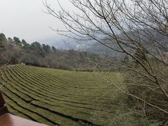 -敬亭山风景名胜区