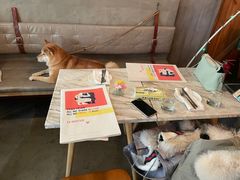 -the rug 飞毯 (朝阳公园店)