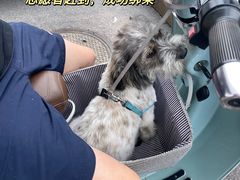 -萌兽医馆·眼科·异宠专科(三里屯店)