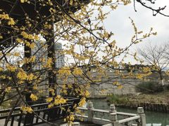 -苏州独墅湖世尊酒店