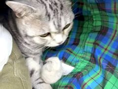 -美联众合动物医院·24h转诊中心