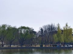 -泰丰公园