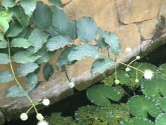 -北京植物园南门售票处