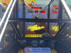 -大玩家超乐场(万达广场苏州吴中店)