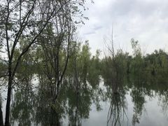 -绿堤公园