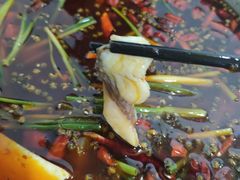 -乡土特色.冷锅鱼.牦牛肉汤锅