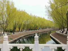 -滨河世纪广场公园