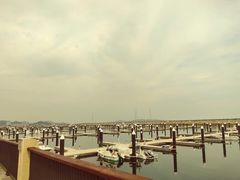 -星光岛