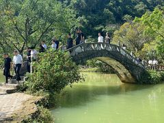 -靖西鹅泉风景区