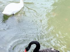 -长白岛森林公园