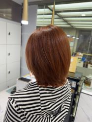 -镁连社·美联社