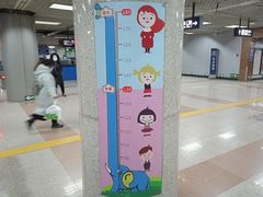 -大望路(地铁站)