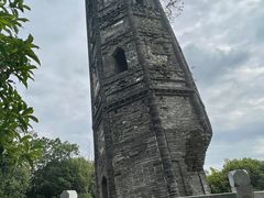 -上海佘山国家森林公园天马山园