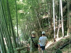 -藏龙百瀑风景区