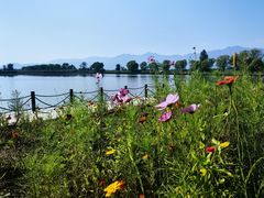 -野鸭湖国家湿地公园