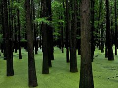 -青山湖景区