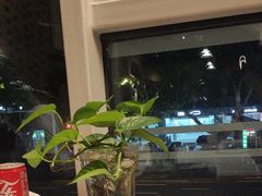 -三猫黑鱼花(南大店)