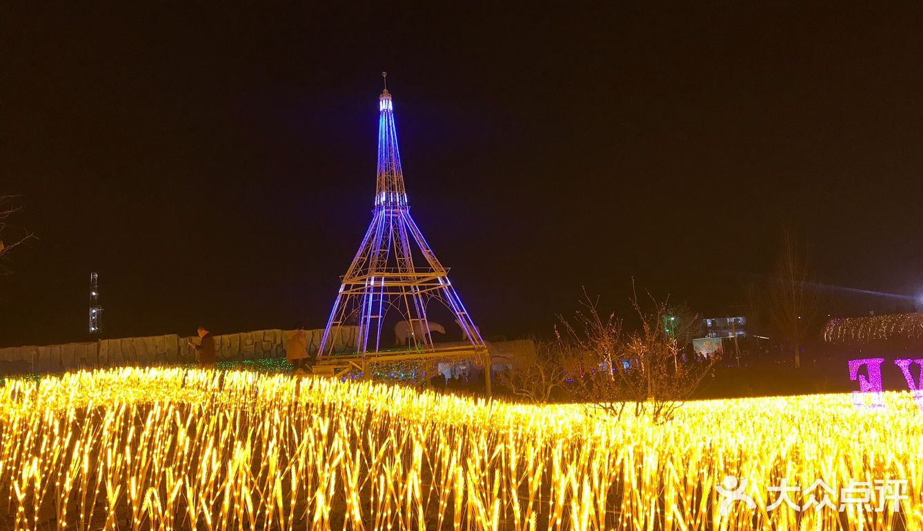 德阳和海看灯会