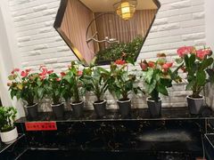 -泰山廊亦舫(丽景店)
