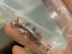 -北京恒爱动物医院(清景园分院)