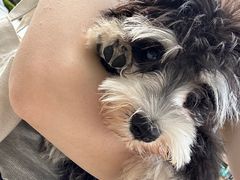 -宠颐生猫科·内科皮肤科(西平世纪城店)