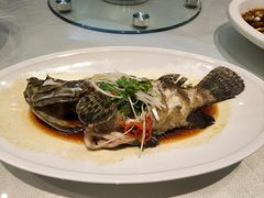 清蒸虎斑鱼-金海湾海鲜总店