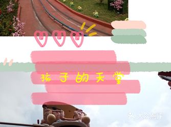 晴天的时候，深圳遛娃好去处