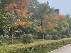 -长春市南湖公园