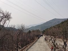 -蟒山国家森林公园天池停车场