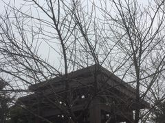 -桃花岭景区