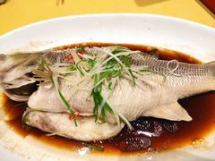 -皇冠明珠鱼翅楼(水上公园店)