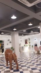 -宝贝天空儿童摄影(花溪店)