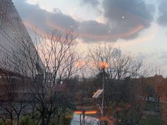 -上海小南国(世博源店)