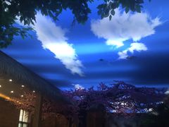 -景禧楼(景尚恐龙主题度假酒店)