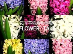 -花言草语鲜花店(灵山路店)