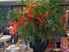-徐记海鲜(大雁塔|金都店)