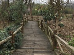 -白鹭湾湿地公园