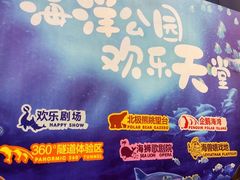 -西安曲江海洋极地公园