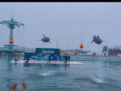 -秦皇岛乐岛海洋王国