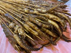 -十里铺铁板鱿鱼