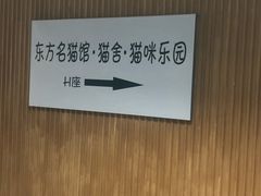 -东方名猫馆·英短金渐层布偶猫舍(环线广场1号楼店)