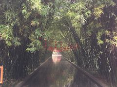 景点-望江楼公园