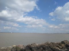 -吴淞炮台湾湿地森林公园烧烤区